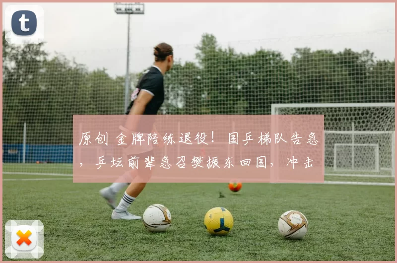 原创 金牌陪练退役！国乒梯队告急，乒坛前辈急召樊振东回国，冲击奥运