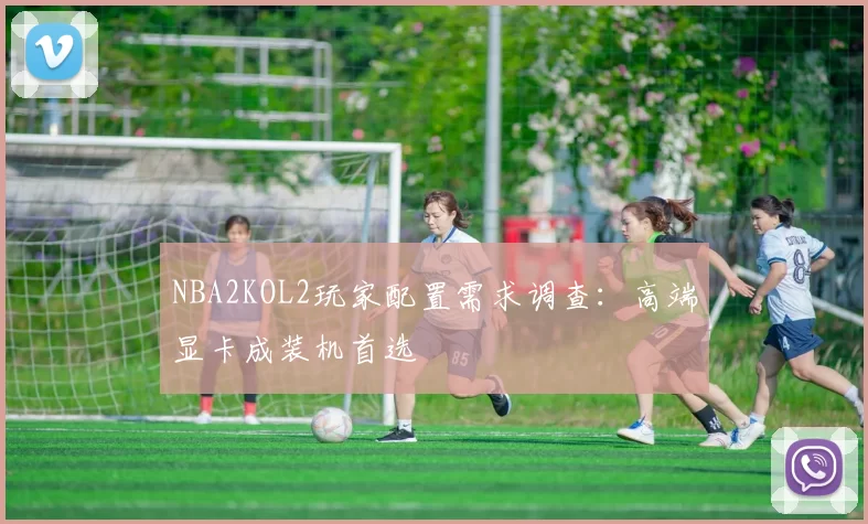 NBA2KOL2玩家配置需求调查：高端显卡成装机首选