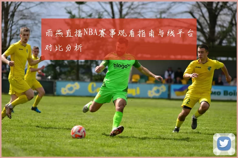 雨燕直播NBA赛事观看指南与线平台对比分析