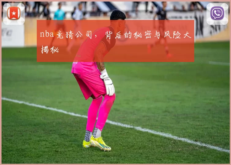 nba竞猜公司，背后的秘密与风险大揭秘